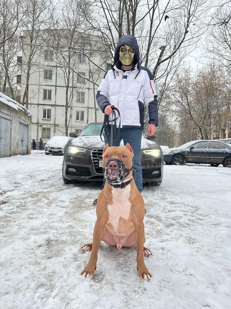  ,    , 27 ,   ,   