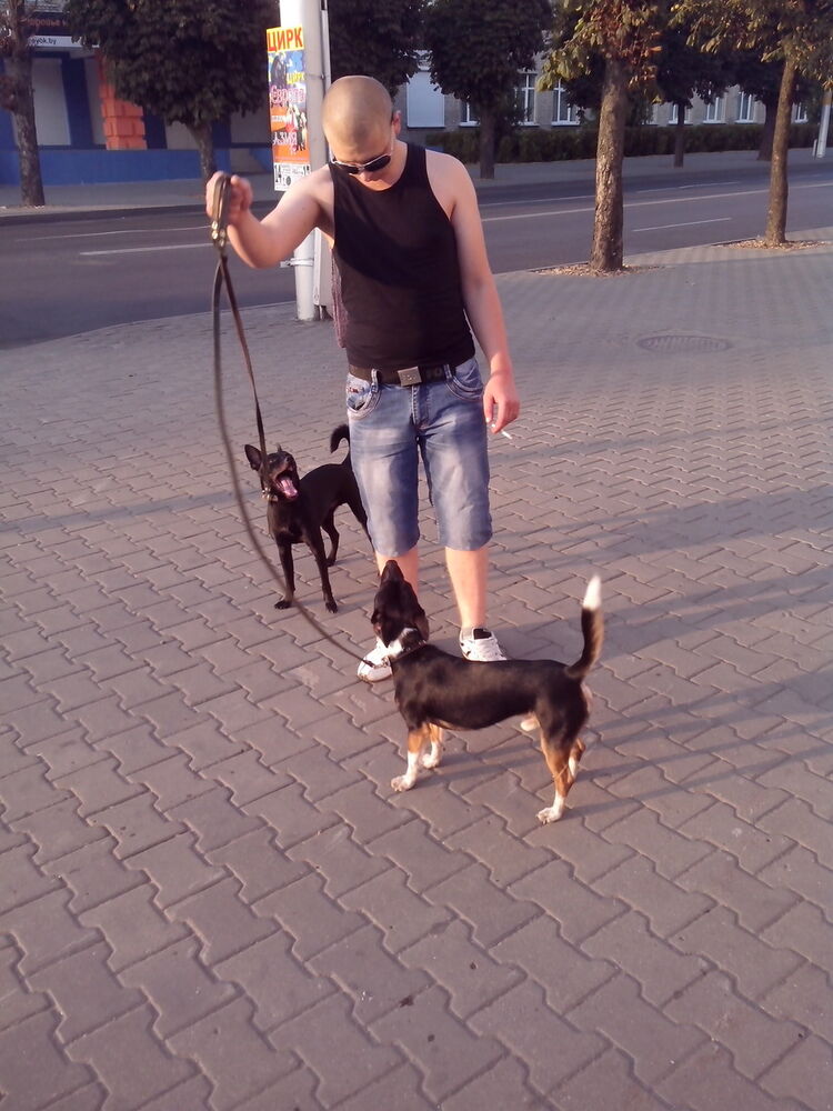 ���������� ��������, ���� ������� ������, 33 ����, ������������ ��� ����� � ���������, c�������� ���������