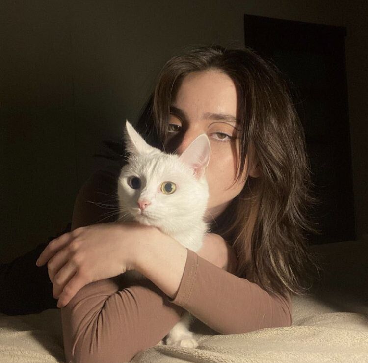 ���������� �����-���������, ���� ������� �����, 22 ����, ������������ ��� ������, ����� � ���������