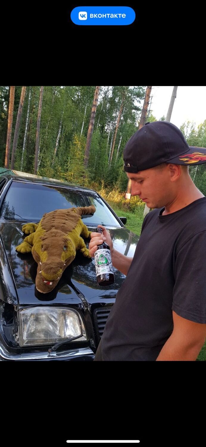 ���� 43388659 ������� �����, 34 ����, ���� ���������� � �����������