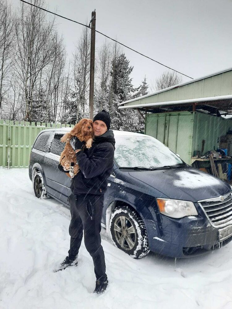 ���� 50286739 ������� �����, 36 ���, ���� ���������� � ������