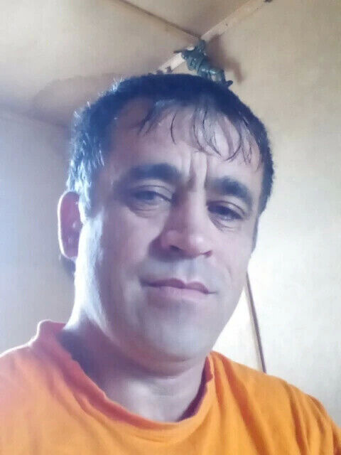  31464349  , 45 ,    