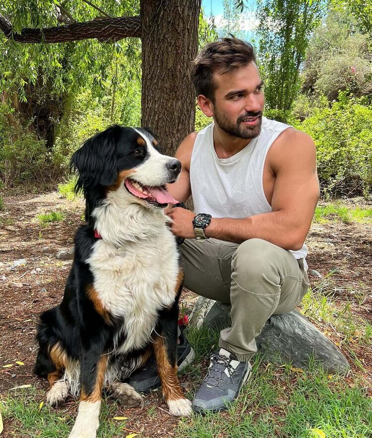 ���� 52031579 ������� ������, 38 ���, ���� ���������� � �����-����������