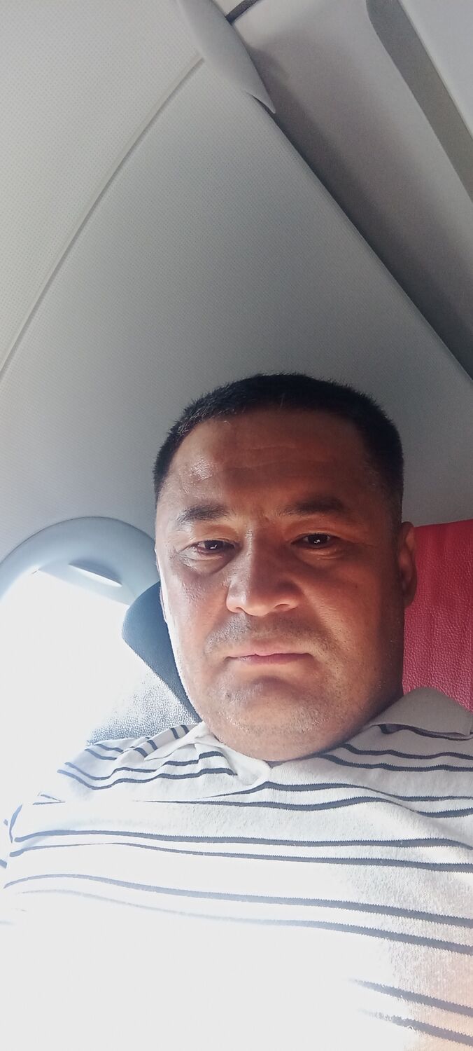  48335269  , 36 ,    
