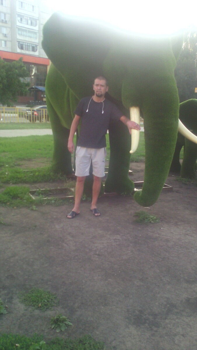  ,   , 41 ,     , c 