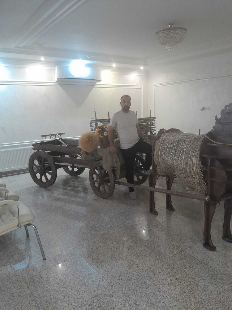 ���� 36570649 ������� ������, 46 ���, ���� ���������� � ����������