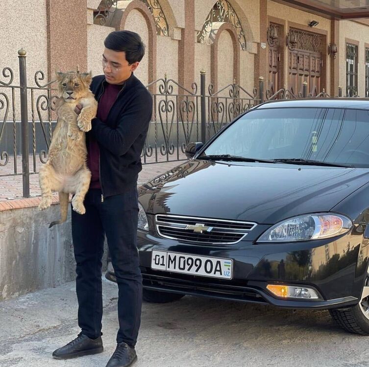 ���������� �������, ���� ����� ���, 25 ���, ������������ ��� ������, ����� � ���������, ���������