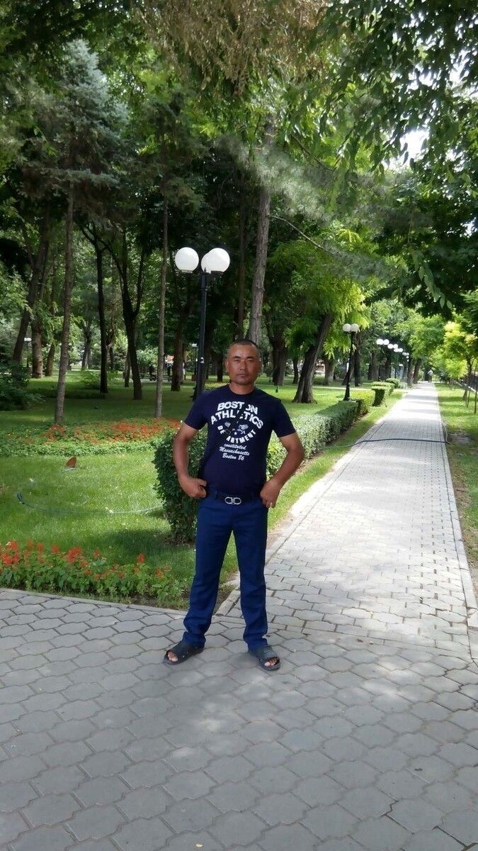  15972059  , 44 ,    