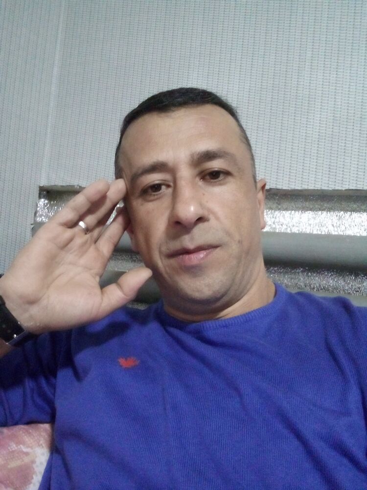  48305669  , 43 ,    