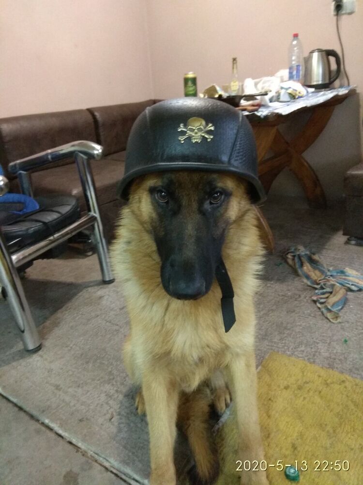 ���������� ������, ���� ������� �������, 48 ���, ������������ ��� ����� � ���������, c�������� ���������, ���������