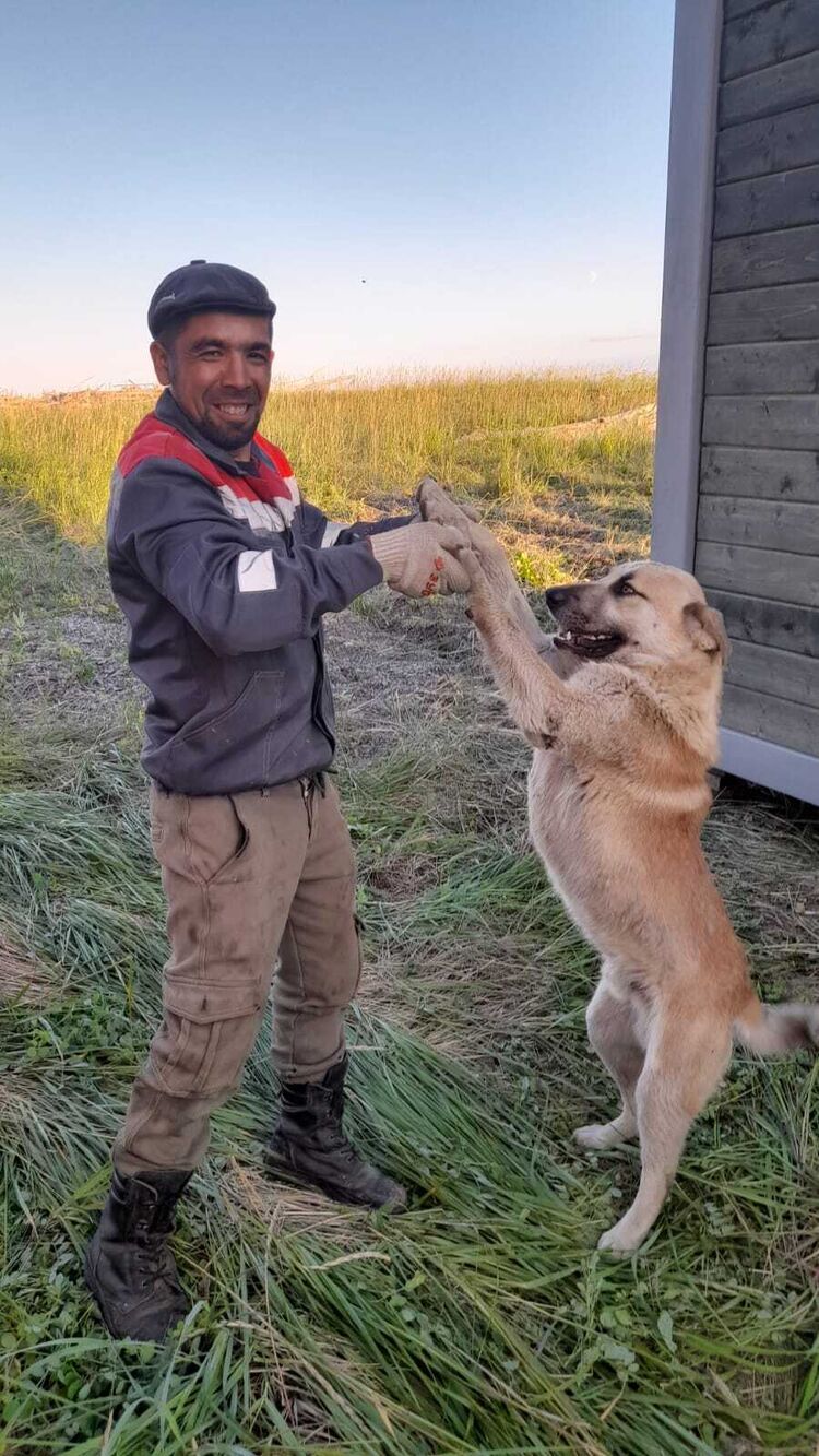 ���� 36440629 ������� �������, 40 ���, ���� ���������� � ������������