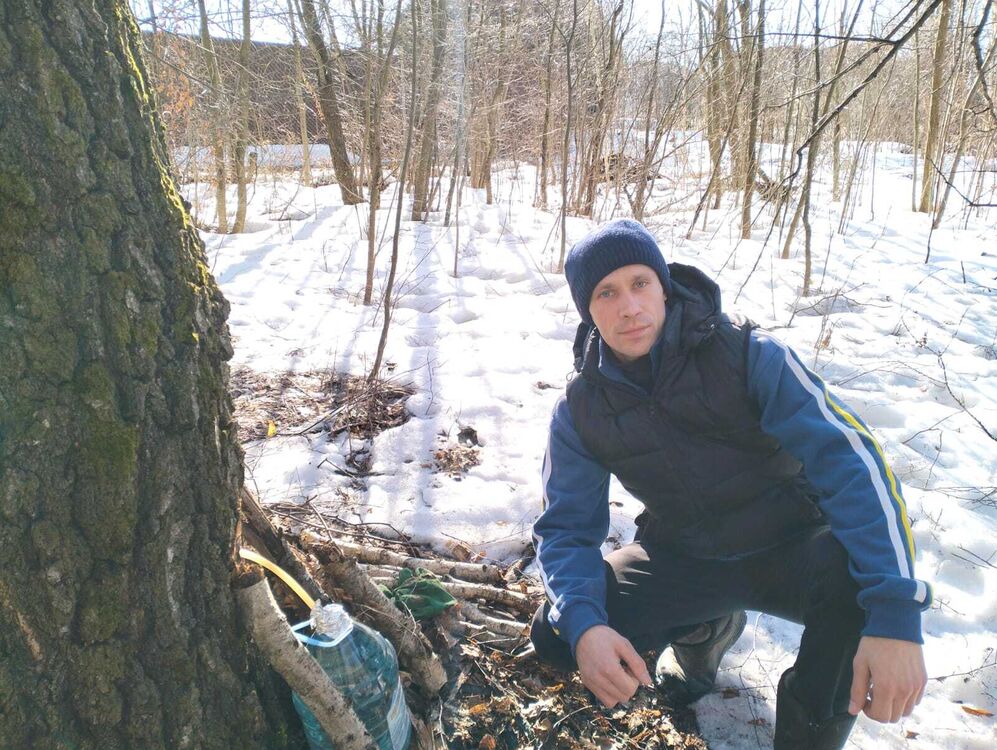 ���� 42297679 ������� ����, 43 ����, ���� ���������� � ����������