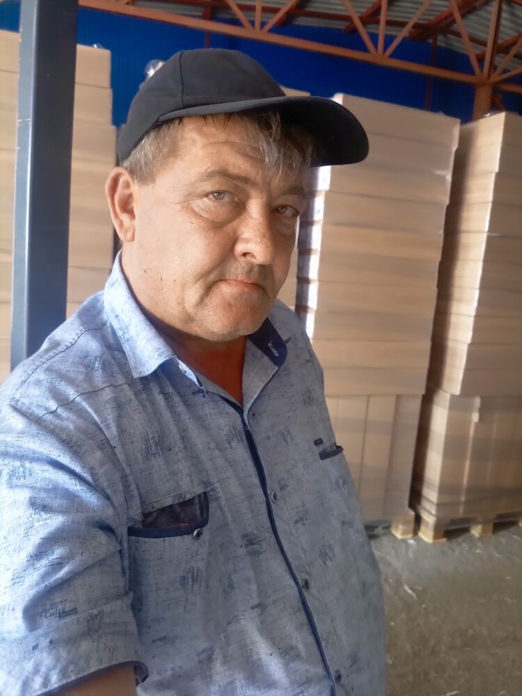 ���� 55355639 ������� ������, 50 ���, ���� ���������� � �������