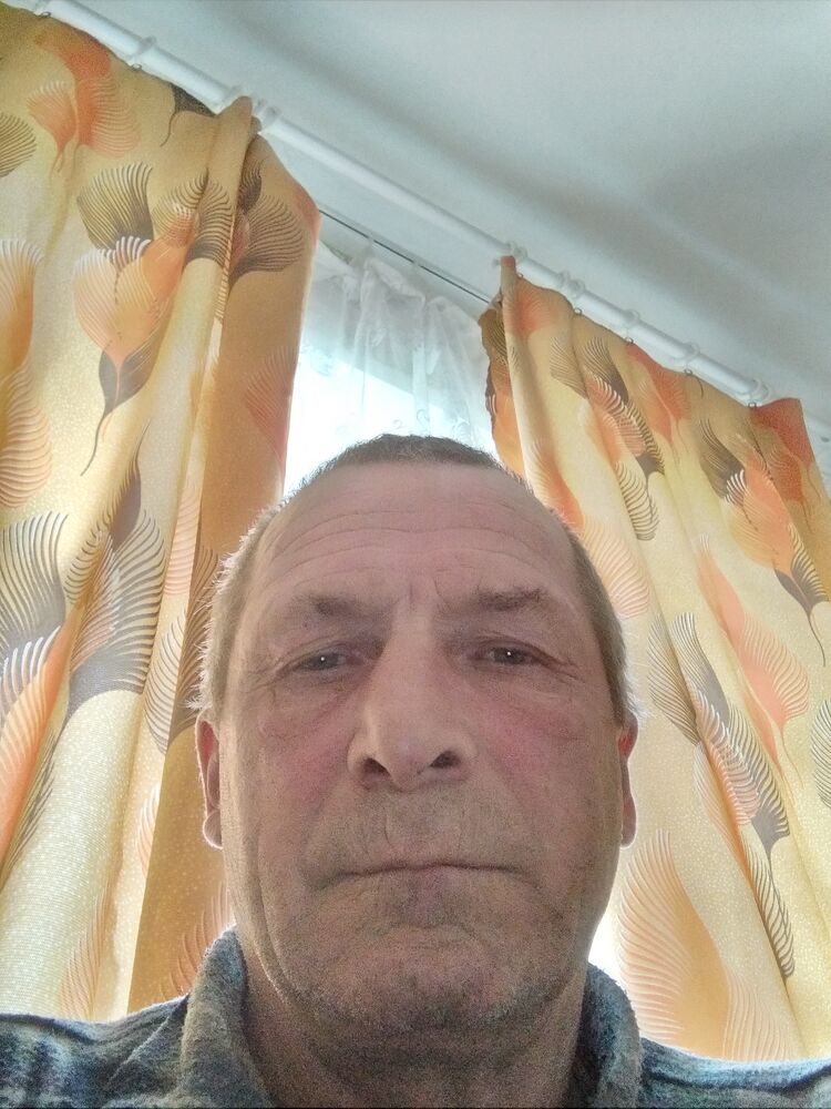  43351399  , 55 ,    