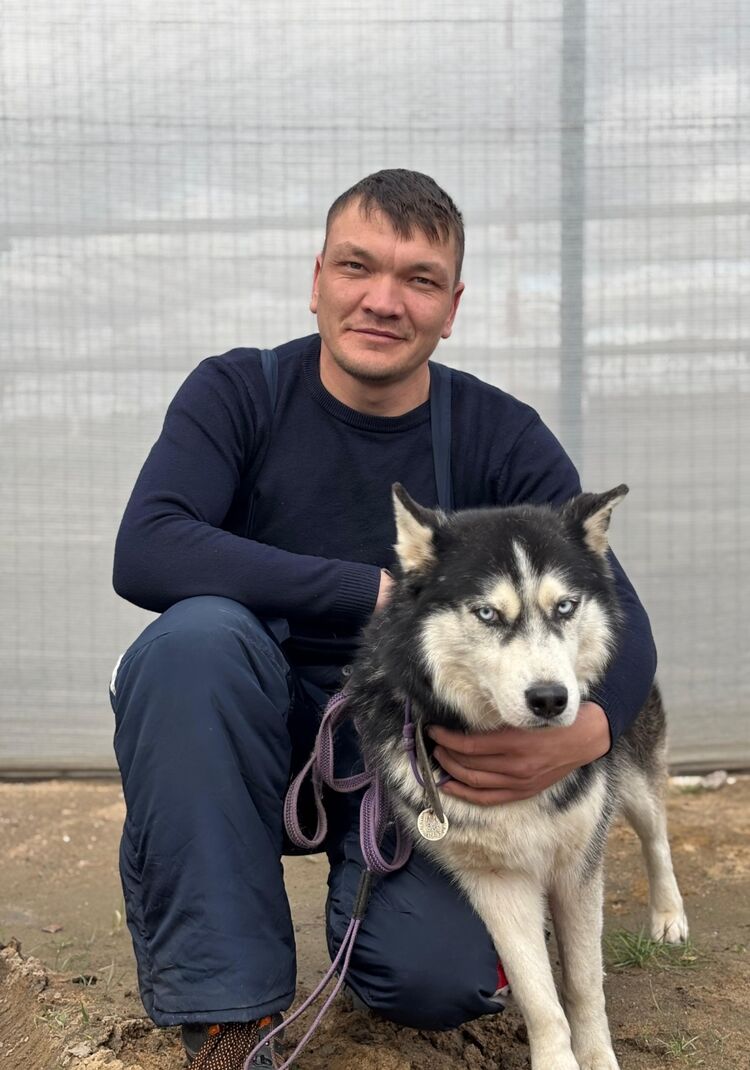 ���� 53558869 ������� �����, 36 ���, ���� ���������� � ���������