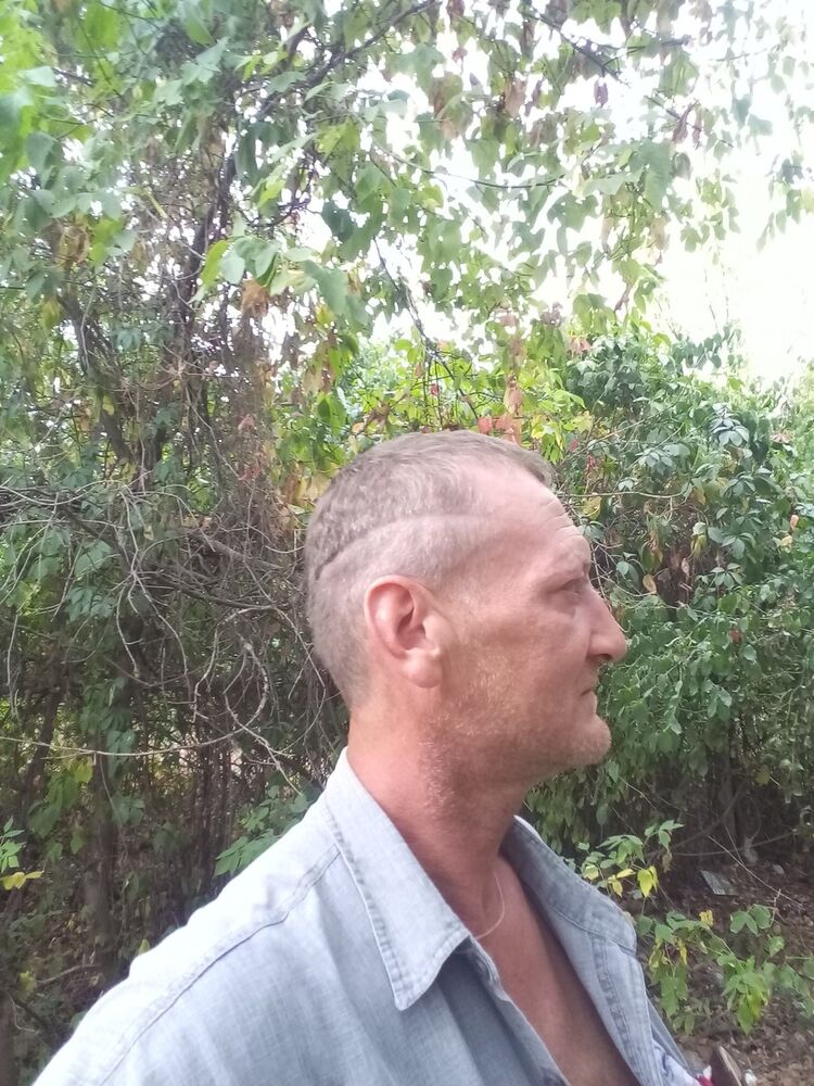  21064839  , 50 ,    