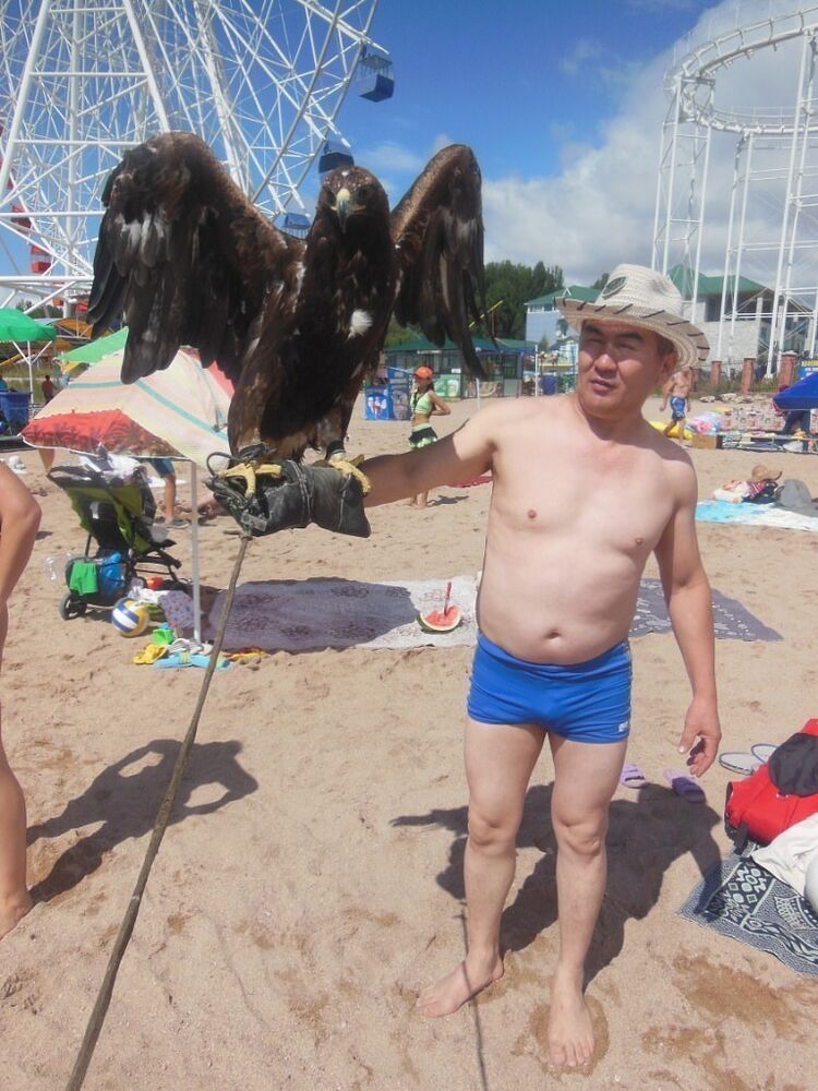 ���������� �����������, ���� ������� 89253138279, 54 ����, ������������ ��� ������, ����� � ���������, c�������� ���������, ���������