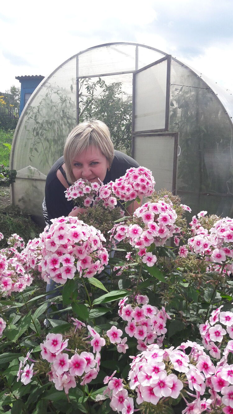 ���������� ��������, ���� ������� ������, 42 ����, ������������ ��� ������, ����� � ���������, c�������� ���������, ���������