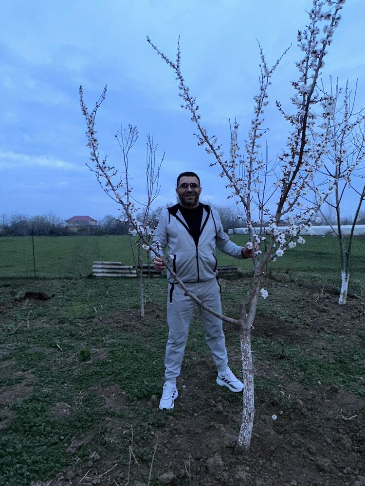 ���������� ���������, ���� ������� ����, 46 ���, ������������ ��� ������, ����� � ���������, c�������� ���������