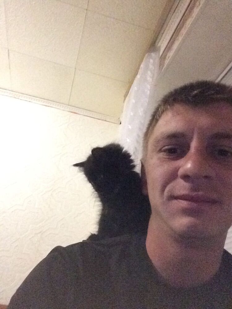 ���� 55543539 ������� ������, 33 ����, ���� ���������� � ��������