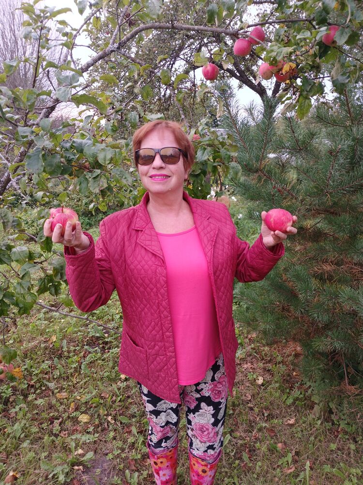 ���������� ����, ���� ������� ������, 62 ����, ������������ ��� ����� � ���������, c�������� ���������