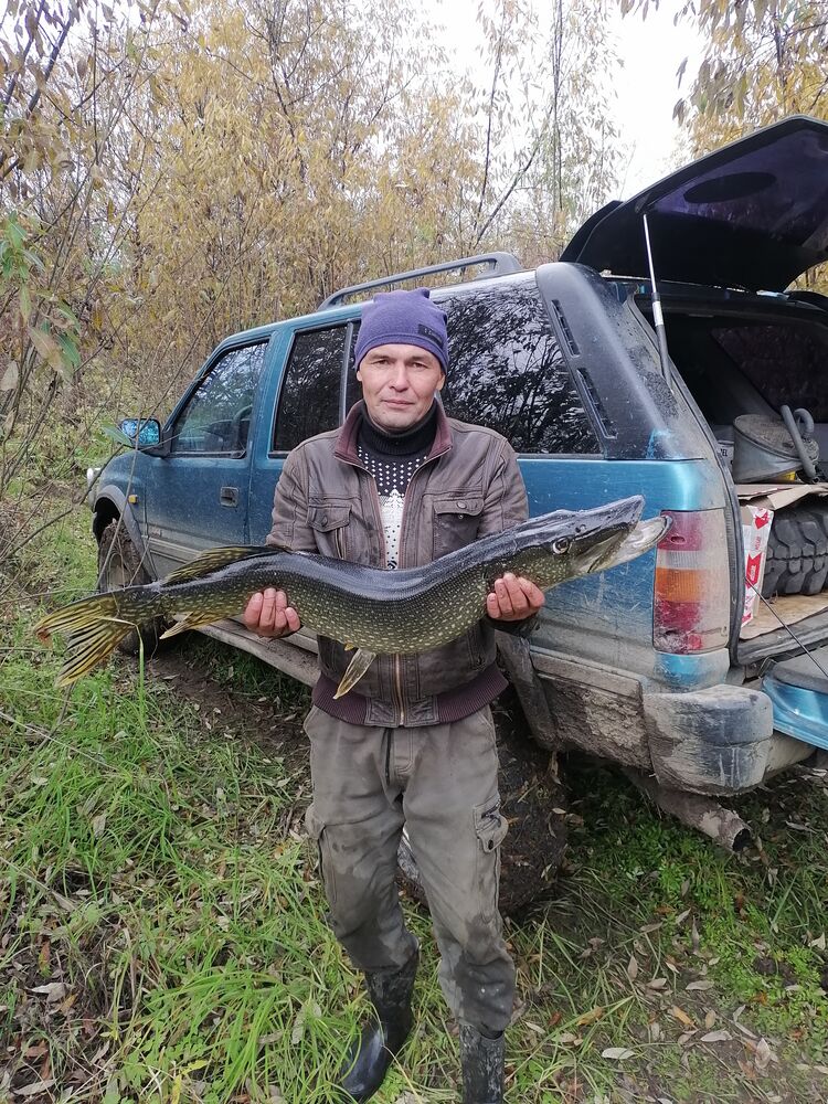 ���������� �������, ���� ������� ����, 41 ���, ������������ ��� ������, ����� � ���������, c�������� ���������, ���������