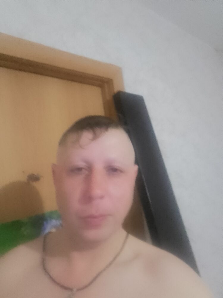  41561869  , 38 ,    -