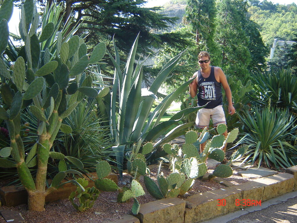 ���� 17423999 ������� ���������, 49 ���, ���� ���������� � ���������������