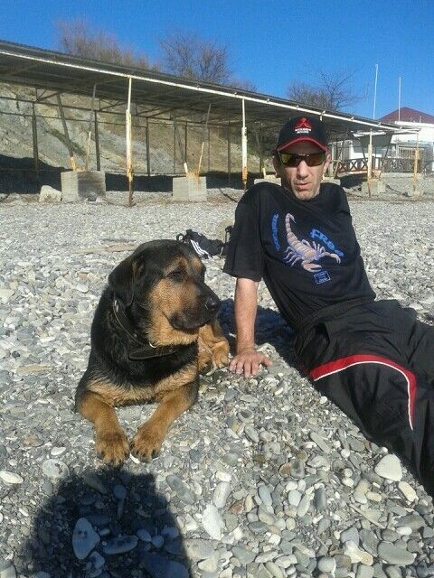 ���������� ������-��-����, ���� ������� ����, 50 ���, ������������ ��� ������, ����� � ���������