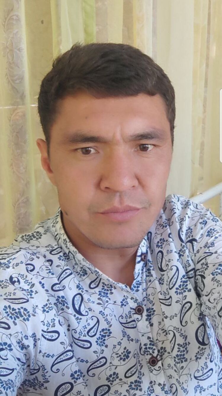 ���� 23442239 ������� REF, 36 ���, ���� ���������� � ��������