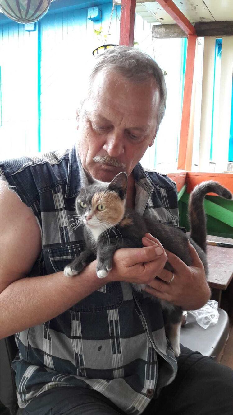 ���� 56007039 ������� ������, 66 ���, ���� ���������� � ��������