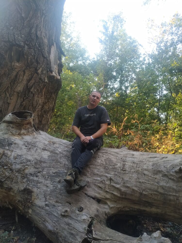 ���������� �������, ���� ������� ������, 44 ����, ������������ ��� c�������� ���������