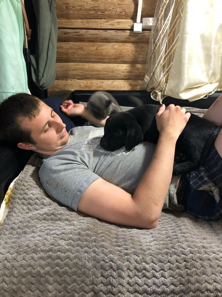 ���� 25381109 ������� �������, 33 ����, ���� ���������� � �������