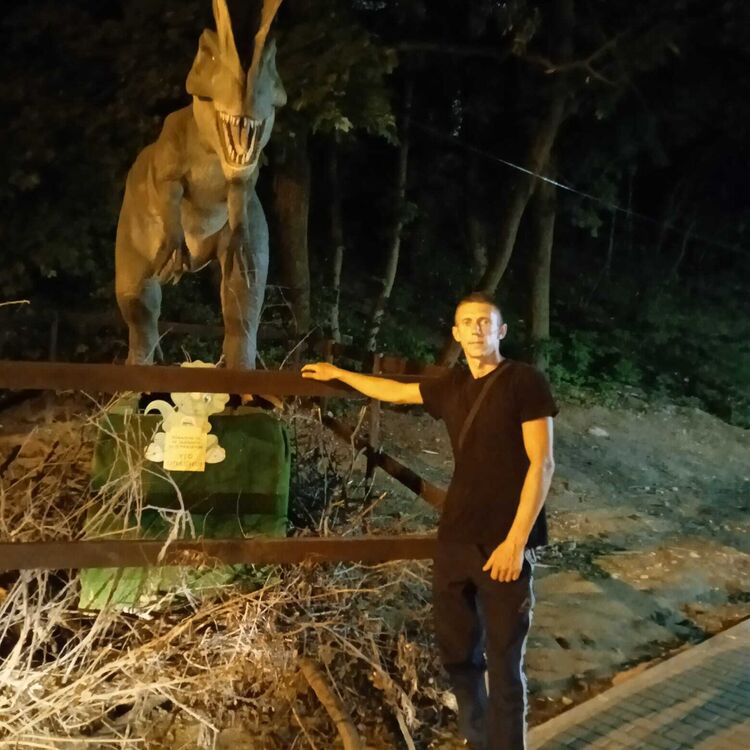  51026829  , 37 ,    