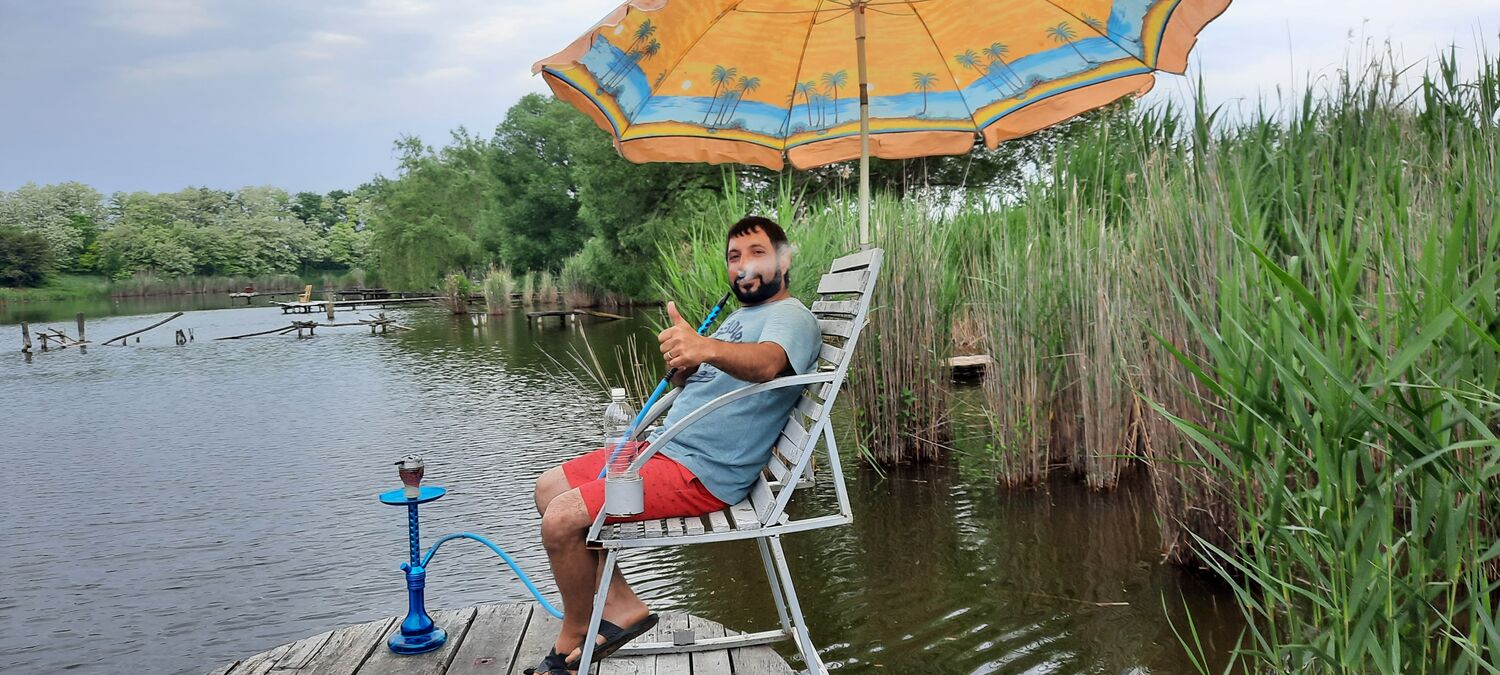 ���� 23103769 ������� ����, 36 ���, ���� ���������� � �����