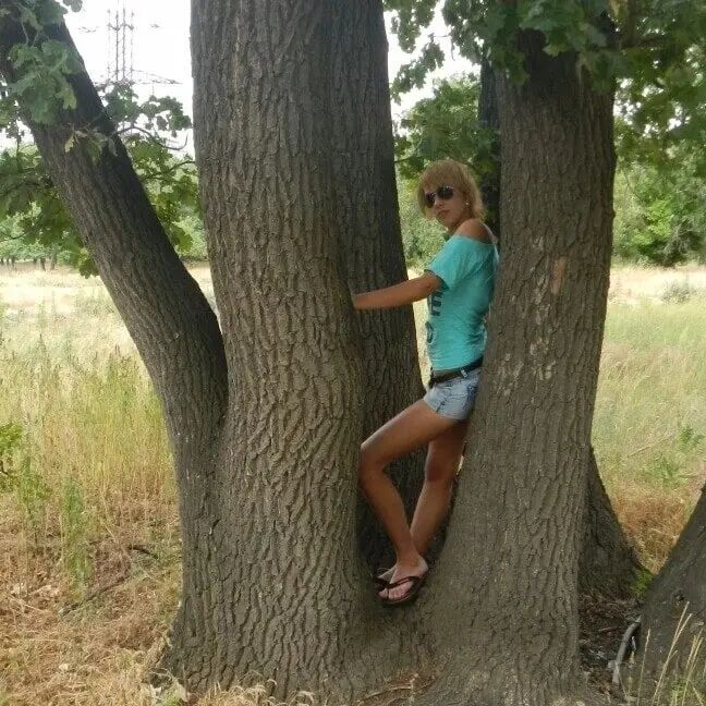  45271799  , 34 ,    -