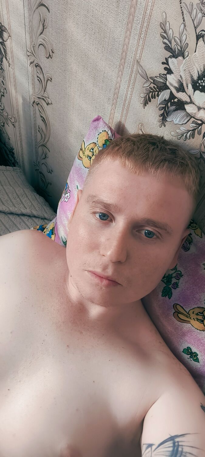  43569899  , 29 ,    