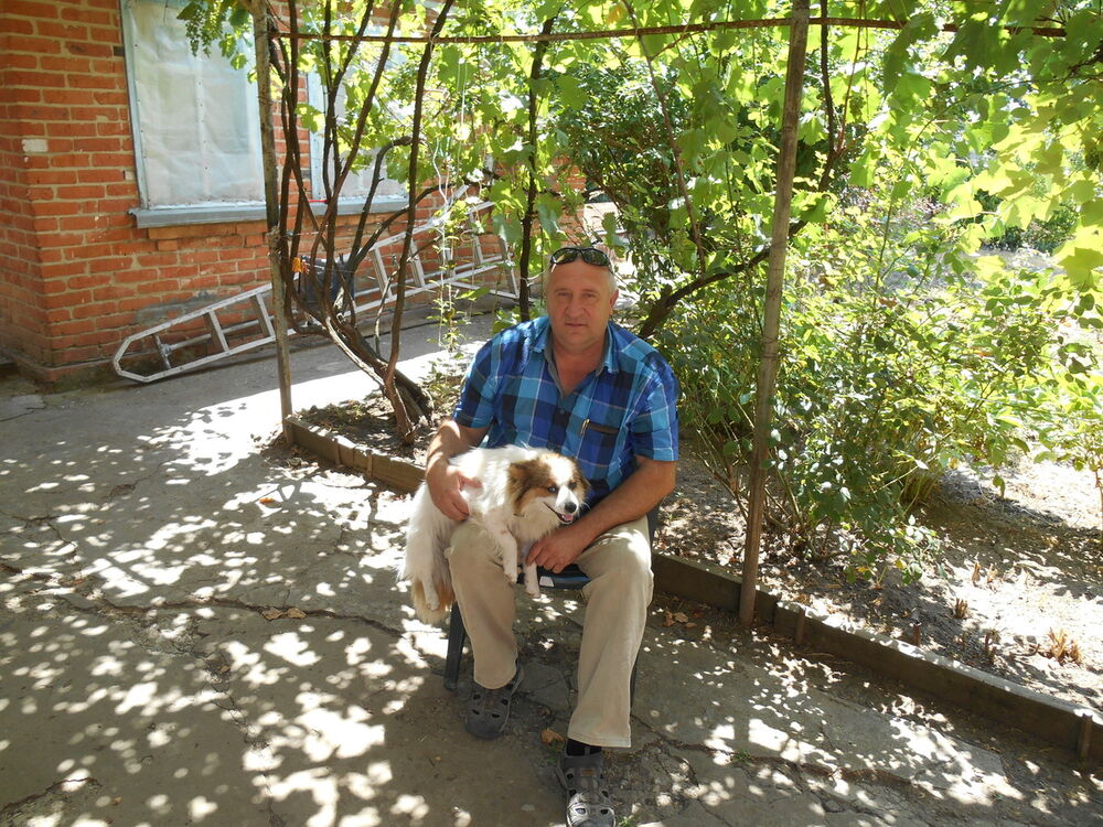 ���� 18588029 ������� �������, 62 ����, ���� ���������� � ����������