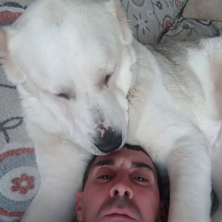 ���������� �����, ���� ������� ��������, 41 ���, ������������ ��� c�������� ���������