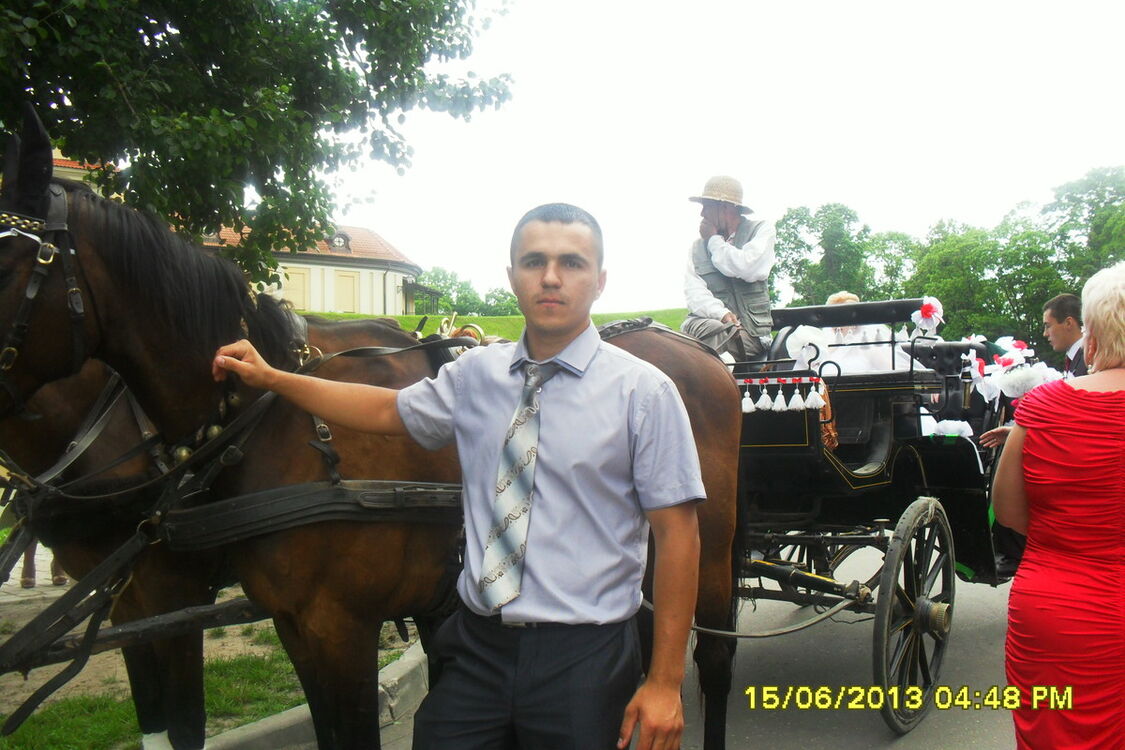 ���������� �����, ���� ������� ������, 38 ���, ������������ ��� ������, ����� � ���������, c�������� ���������