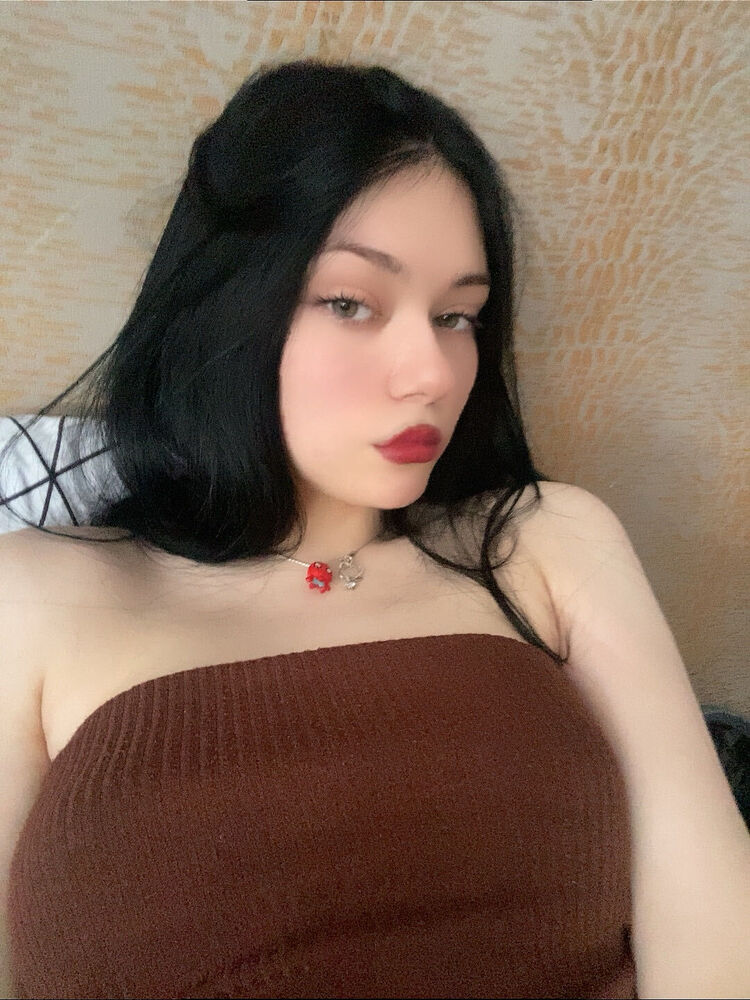 45566089  , 20 ,    