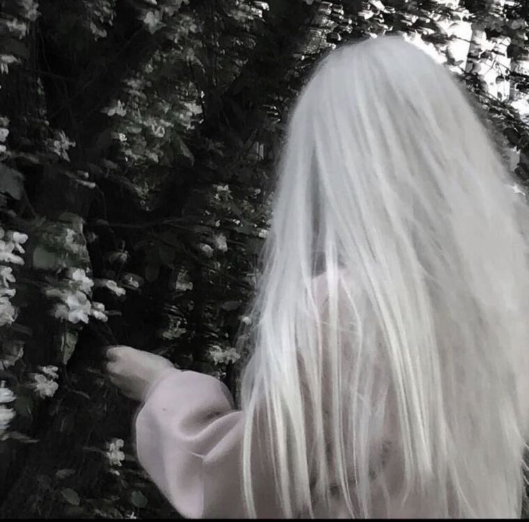 ���������� ������, ���� ������� ������, 21 ���, ������������ ��� ������, ����� � ���������, ���������