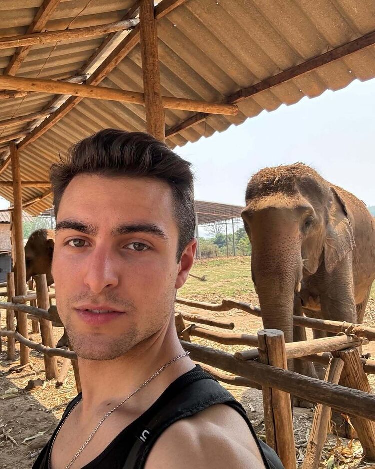 ���� 56239779 ������� �������, 35 ���, ���� ���������� � �����