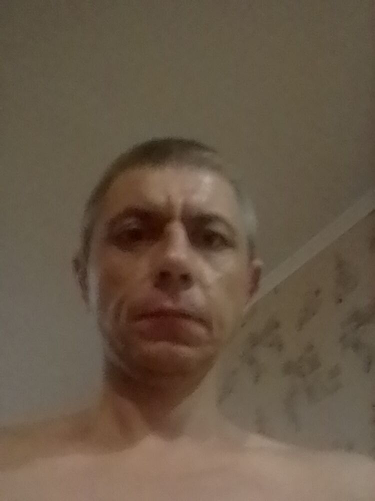  40238539  , 39 ,    