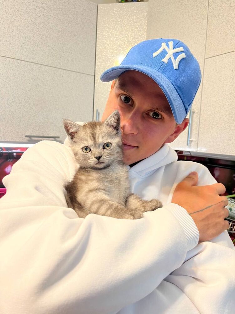 ���� 44523849 ������� ����, 31 ���, ���� ���������� � ������