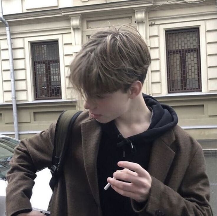 ���� 38006449 ����� ��, 24 ����, ���� ���������� � �����