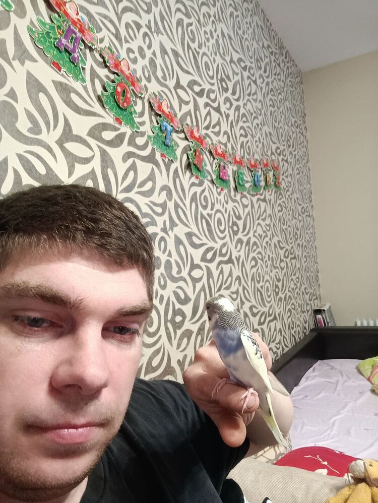  33430529  , 38 ,    