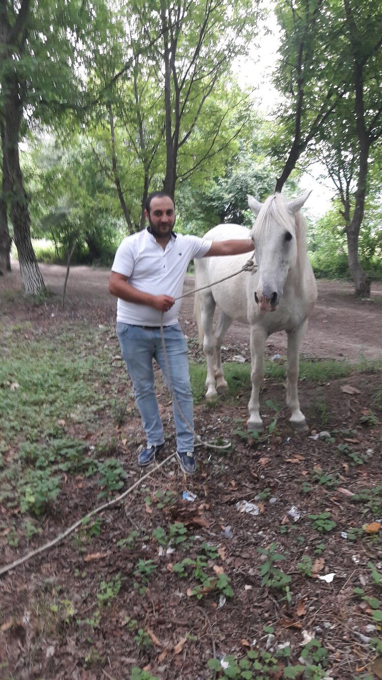 ���������� ��������, ���� ������� ������, 37 ���, ������������ ��� ������, ����� � ���������