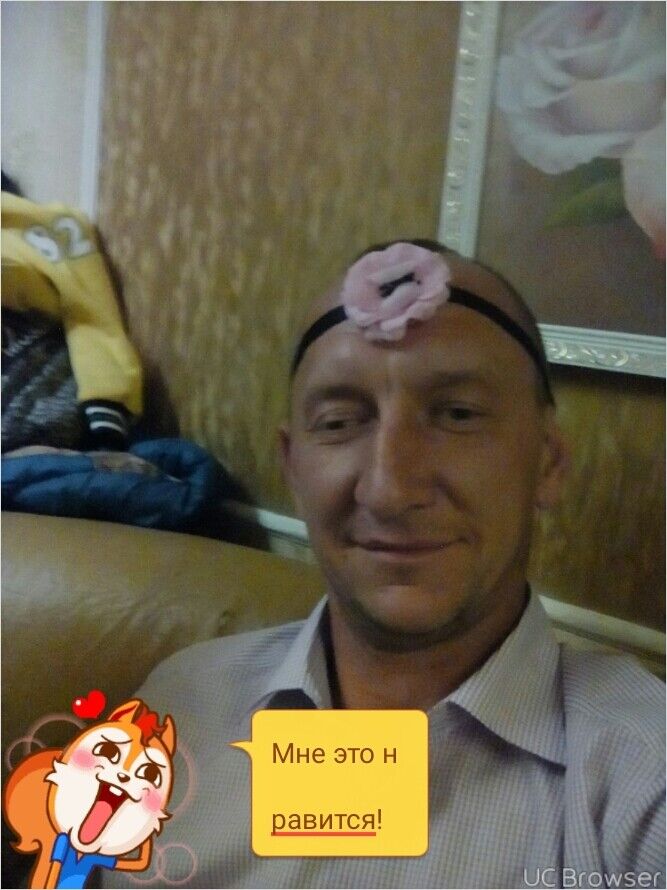  10736329  , 47 ,    