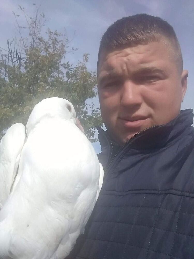 ���� 33311489 ������� ������, 27 ���, ���� ���������� � ����������